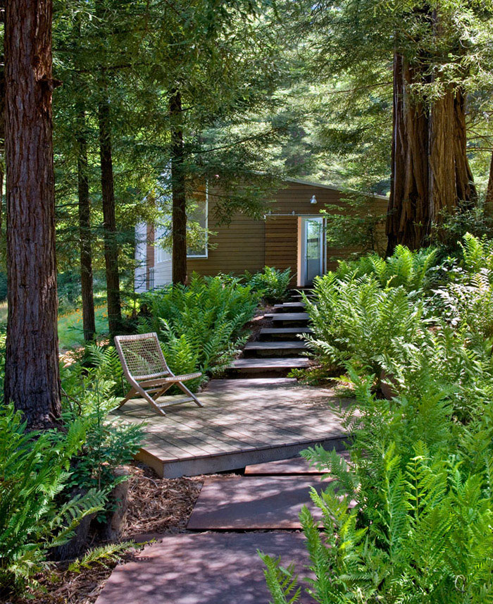 contemporary home outdoor area