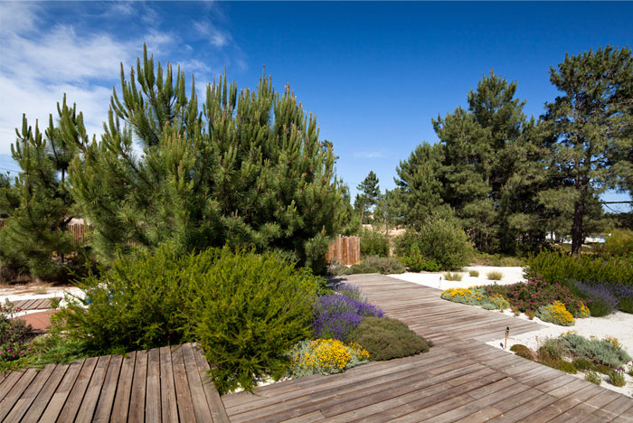 house comporta greenery