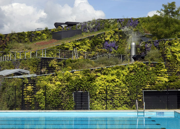 camouflaging-facade-bushy-plants-flowers