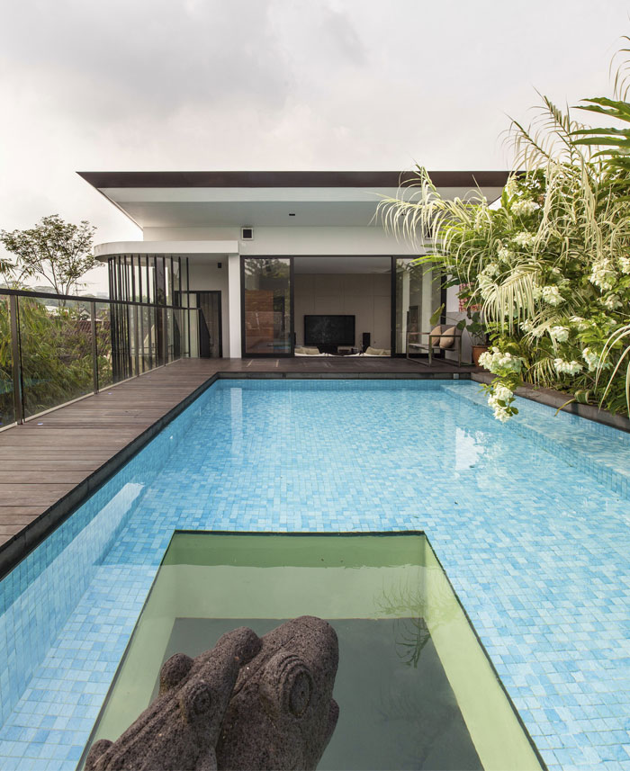 koi-pond-swimming-pool