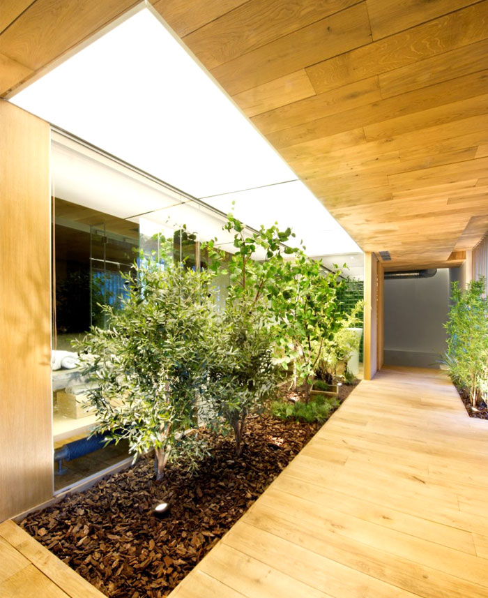inside-garden