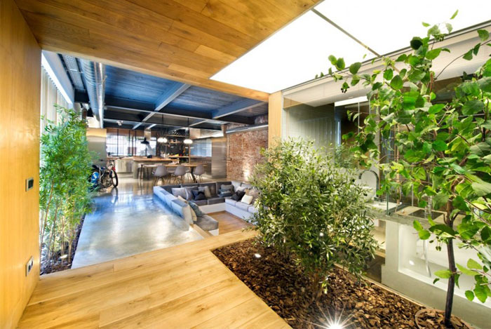 plant-grows-spacious-windows