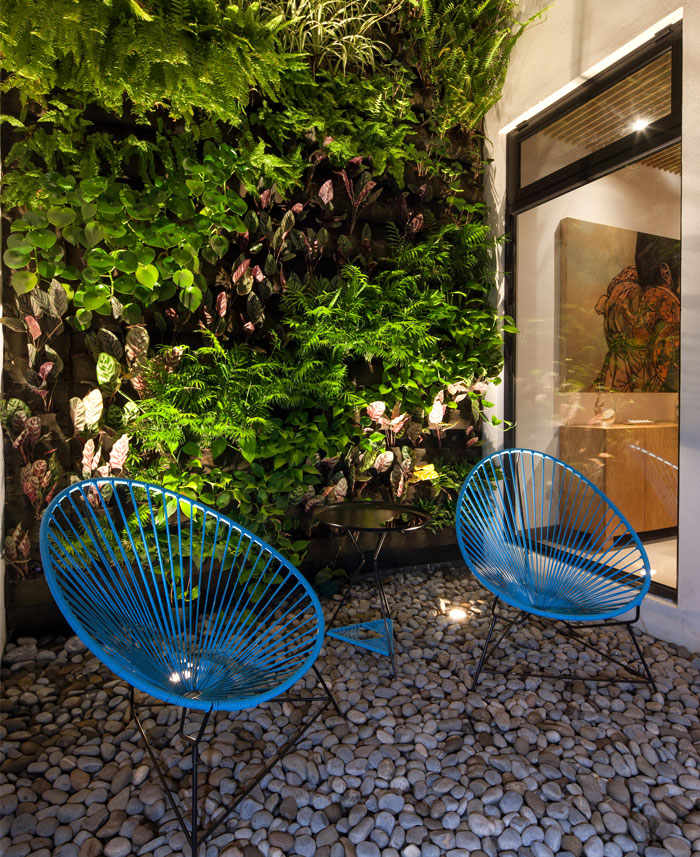 plants-local-origin-stone-pavement-vertical-green-wall