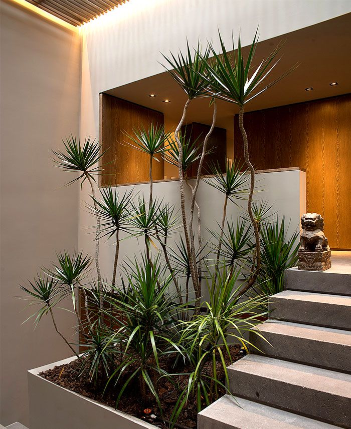 barrancas-house-mexico-5