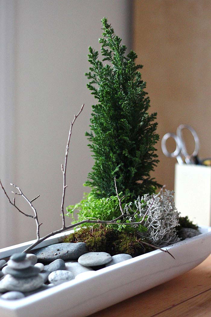 how to make a mini zen garden