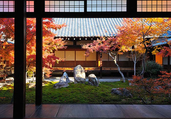 japanese maple acer palmatum asian style garden