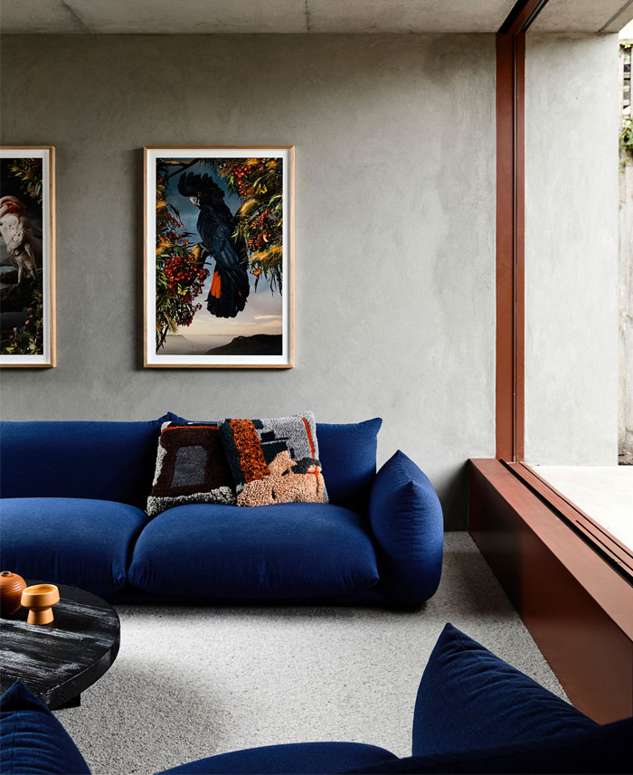 oak tree house kennedy nolan architects 17