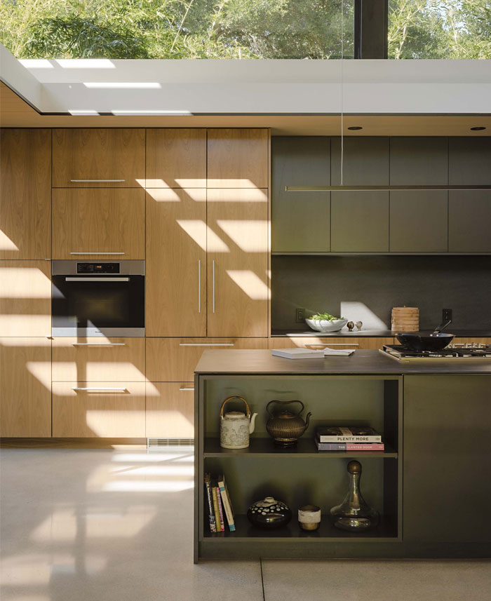 mid century modern sleek kitchen cabinets 8